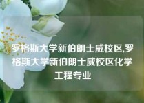 罗格斯大学新伯朗士威校区,罗格斯大学新伯朗士威校区化学工程专业