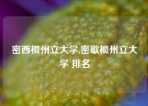 密西根州立大学,密歇根州立大学 排名