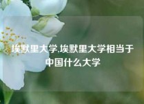 埃默里大学,埃默里大学相当于中国什么大学