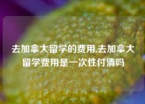 去加拿大留学的费用,去加拿大留学费用是一次性付清吗