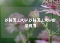 沙特国王大学,沙特国王大学留学费用