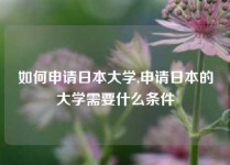 如何申请日本大学,申请日本的大学需要什么条件