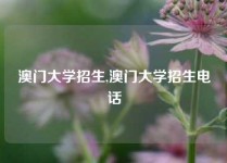 澳门大学招生,澳门大学招生电话