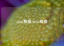 stem专业,Stem专业