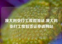 澳大利亚打工度假签证,澳大利亚打工度假签证申请网站