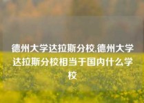 德州大学达拉斯分校,德州大学达拉斯分校相当于国内什么学校