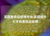 英国奢侈品管理专业,英国哪些大学有奢侈品管理