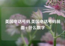 美国电话号码,美国电话号码前面+什么数字