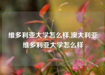 维多利亚大学怎么样,澳大利亚维多利亚大学怎么样