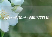 北美mba排名,mba 美国大学排名