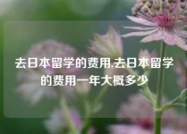 去日本留学的费用,去日本留学的费用一年大概多少