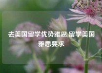 去美国留学优势雅思,留学美国雅思要求