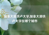 加拿大滑铁卢大学,加拿大滑铁卢大学在哪个城市