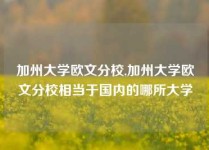 加州大学欧文分校,加州大学欧文分校相当于国内的哪所大学