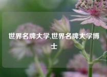 世界名牌大学,世界名牌大学博士