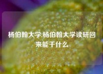 杨伯翰大学,杨伯翰大学读研回来能干什么