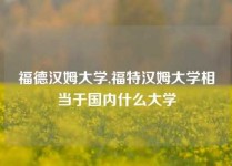 福德汉姆大学,福特汉姆大学相当于国内什么大学