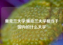 奥克兰大学,奥克兰大学相当于国内的什么大学