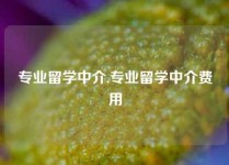 专业留学中介,专业留学中介费用