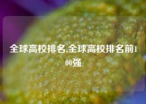 全球高校排名,全球高校排名前100强