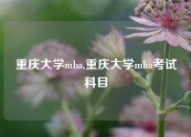 重庆大学mba,重庆大学mba考试科目