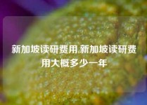 新加坡读研费用,新加坡读研费用大概多少一年