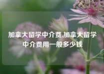 加拿大留学中介费,加拿大留学中介费用一般多少钱