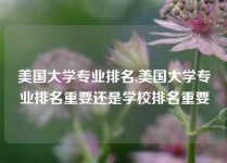 美国大学专业排名,美国大学专业排名重要还是学校排名重要