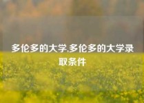 多伦多的大学,多伦多的大学录取条件