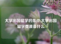 大学出国留学的条件,大学出国留学要准备什么