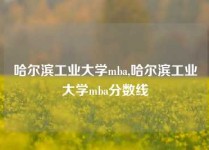 哈尔滨工业大学mba,哈尔滨工业大学mba分数线