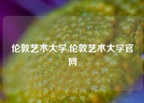 伦敦艺术大学,伦敦艺术大学官网