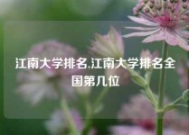 江南大学排名,江南大学排名全国第几位