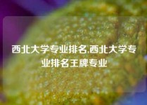 西北大学专业排名,西北大学专业排名王牌专业