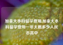 加拿大本科留学费用,加拿大本科留学费用一年大概多少人民币高中