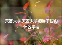 天普大学,天普大学相当于国内什么学校