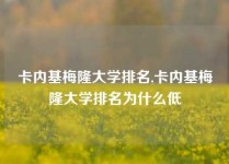 卡内基梅隆大学排名,卡内基梅隆大学排名为什么低