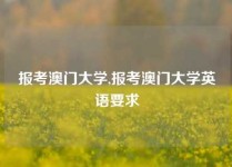 报考澳门大学,报考澳门大学英语要求