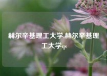 赫尔辛基理工大学,赫尔辛基理工大学qs