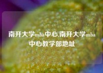 南开大学mba中心,南开大学mba中心教学部地址