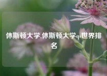 休斯顿大学,休斯顿大学qs世界排名