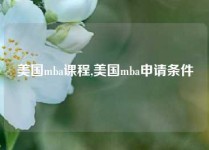 美国mba课程,美国mba申请条件