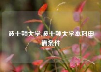 波士顿大学,波士顿大学本科申请条件