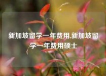 新加坡留学一年费用,新加坡留学一年费用硕士