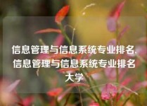 信息管理与信息系统专业排名,信息管理与信息系统专业排名大学