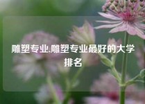 雕塑专业,雕塑专业最好的大学排名