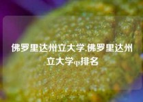 佛罗里达州立大学,佛罗里达州立大学qs排名