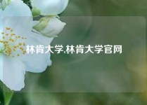 林肯大学,林肯大学官网