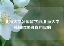 北京大学韩国留学班,北京大学韩国留学班真的假的