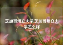 芝加哥州立大学,芝加哥州立大学怎么样